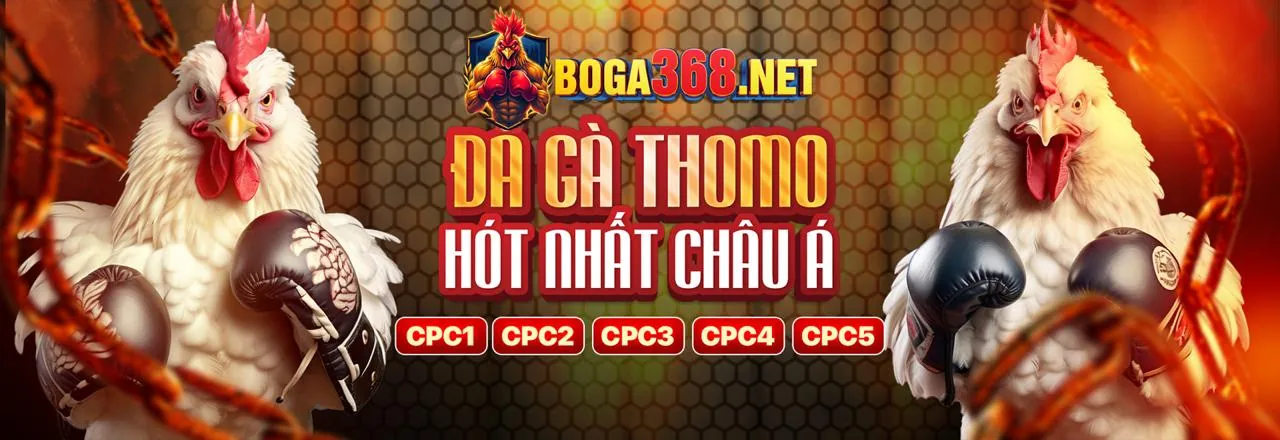 Hệ thống bảo mật 97WIN9
