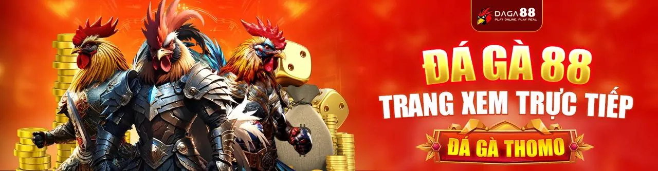 Đá gà Thomo trực tiếp